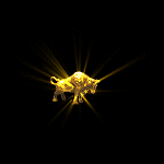 2022_11_24_152033.gif