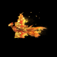 2022_11_24_200552.gif