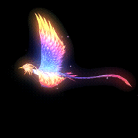2022_11_24_201231.gif