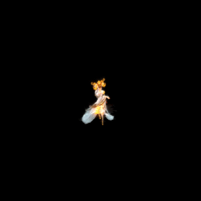 2022_11_24_213637.gif