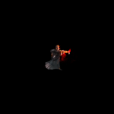 2022_11_24_213650.gif