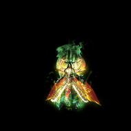 2022_11_25_035253.gif