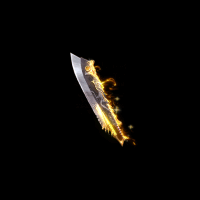 2022_11_25_131443.gif