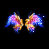 2022_11_26_012121.gif