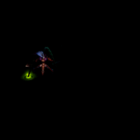 2022_11_26_015927.gif