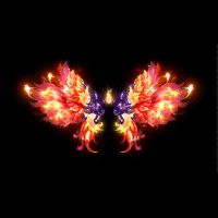 2022_11_26_171004.gif