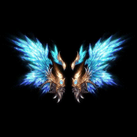 2022_11_26_173255.gif