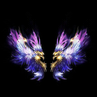 2022_11_26_174555.gif