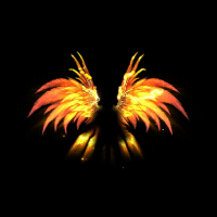 2022_11_26_173103.gif