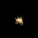 2022_11_30_051136.gif