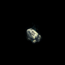 2022_11_30_052141.gif