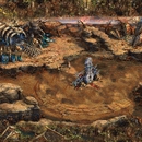 2.bmp