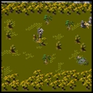 3.BMP