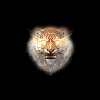 001448nqoxxewilz79qyb7.gif