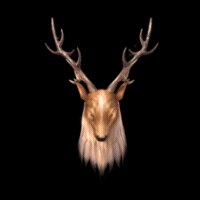 001316lw88f7a80z7ie2u0.gif