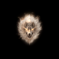 001056ffdafda1a11017q7.gif