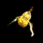 2022_12_01_162449.gif