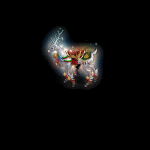 2022_12_01_174634.gif