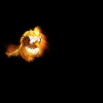2022_12_02_203503.gif