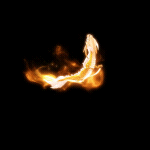 2022_12_02_203524.gif