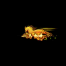 2022_12_03_121059.gif