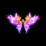 2022_12_03_161816.gif