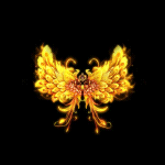 2022_12_03_161912.gif