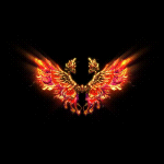 2022_12_03_162017.gif