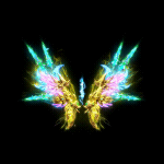 2022_12_03_162039.gif