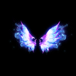 2022_12_03_172312.gif