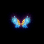 2022_12_03_173051.gif
