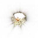 2022_12_04_054951.gif