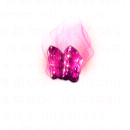 2022_12_04_062725.gif