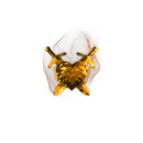 2022_12_04_063027.gif