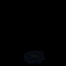 2022_12_05_013910.gif