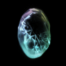 2022_12_05_021740.gif