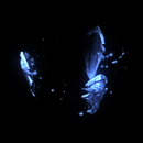 2022_12_05_021854.gif