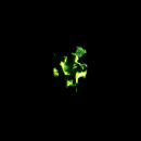 2022_12_05_022002.gif