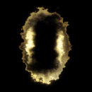 2022_12_05_022202.gif