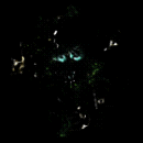 2022_12_05_022304.gif