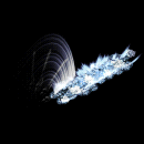 2022_12_05_023820.gif