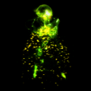 2022_12_05_024925.gif