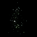 2022_12_05_025153.gif