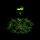 2022_12_05_030154.gif