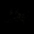 2022_12_05_030237.gif