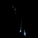 2022_12_05_030347.gif