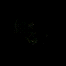 2022_12_05_030258.gif