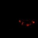 2022_12_05_030424.gif