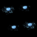 2022_12_05_031306.gif