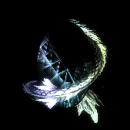 2022_12_05_035910.gif